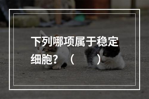 下列哪项属于稳定细胞？（　　）