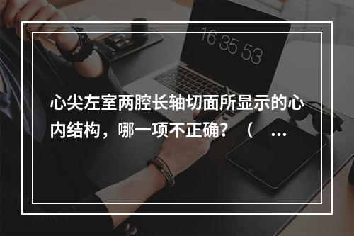 心尖左室两腔长轴切面所显示的心内结构，哪一项不正确？（　　）