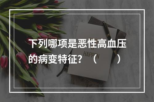 下列哪项是恶性高血压的病变特征？（　　）