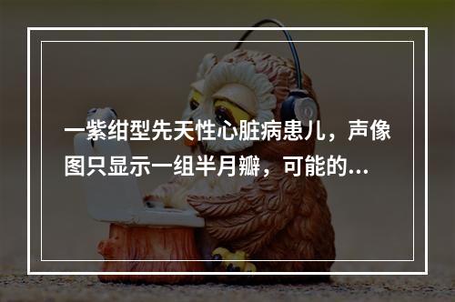 一紫绀型先天性心脏病患儿，声像图只显示一组半月瓣，可能的诊断