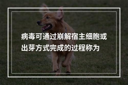 病毒可通过崩解宿主细胞或出芽方式完成的过程称为