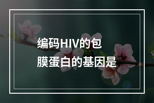 编码HIV的包膜蛋白的基因是