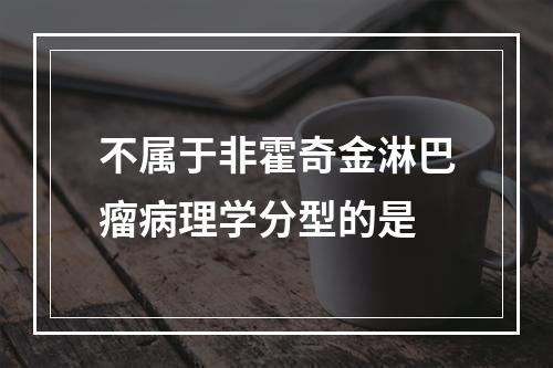 不属于非霍奇金淋巴瘤病理学分型的是