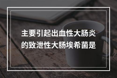 主要引起出血性大肠炎的致泄性大肠埃希菌是