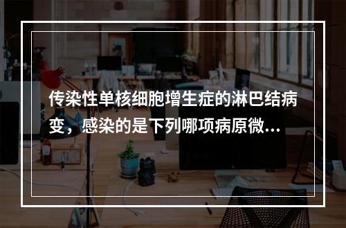 传染性单核细胞增生症的淋巴结病变，感染的是下列哪项病原微生