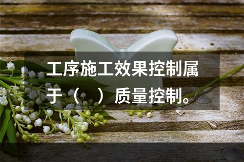 工序施工效果控制属于（　）质量控制。