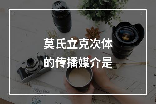 莫氏立克次体的传播媒介是