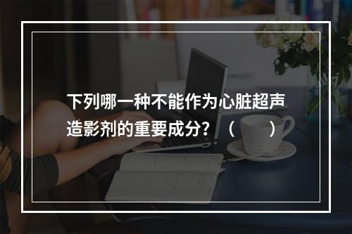 下列哪一种不能作为心脏超声造影剂的重要成分？（　　）