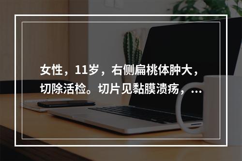 女性，11岁，右侧扁桃体肿大，切除活检。切片见黏膜溃疡，瘤