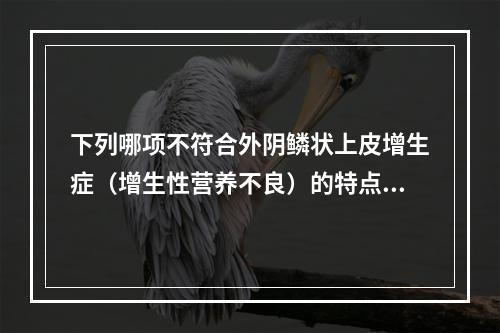 下列哪项不符合外阴鳞状上皮增生症（增生性营养不良）的特点？