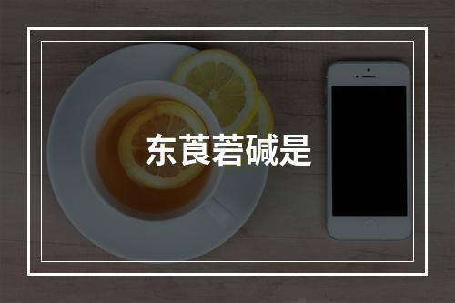 东莨菪碱是