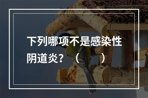 下列哪项不是感染性阴道炎？（　　）