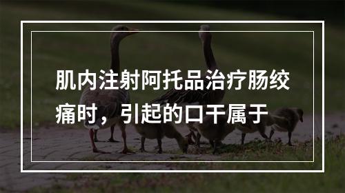 肌内注射阿托品治疗肠绞痛时，引起的口干属于