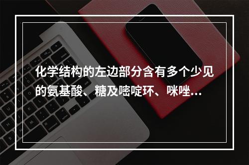 化学结构的左边部分含有多个少见的氨基酸、糖及嘧啶环、咪唑，右