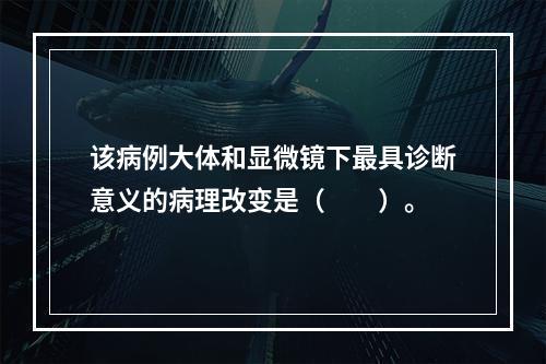 该病例大体和显微镜下最具诊断意义的病理改变是（　　）。