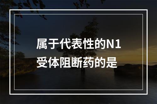 属于代表性的N1受体阻断药的是