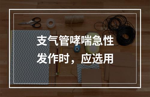 支气管哮喘急性发作时，应选用