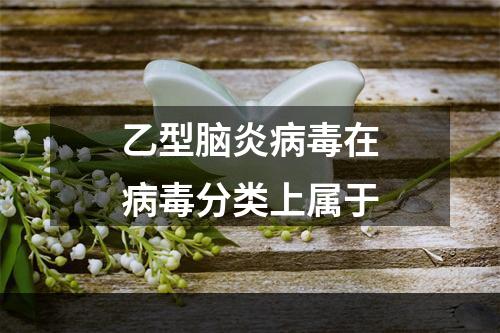 乙型脑炎病毒在病毒分类上属于