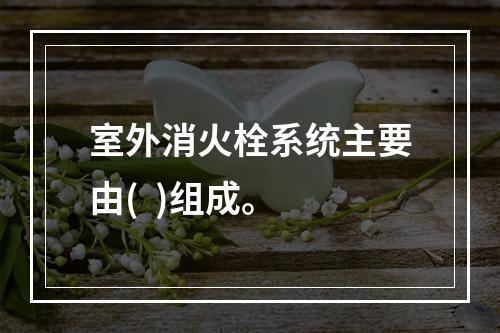 室外消火栓系统主要由(  )组成。