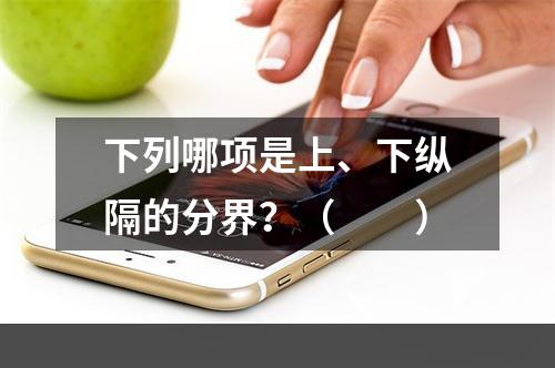 下列哪项是上、下纵隔的分界？（　　）