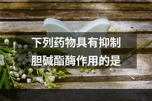 下列药物具有抑制胆碱酯酶作用的是