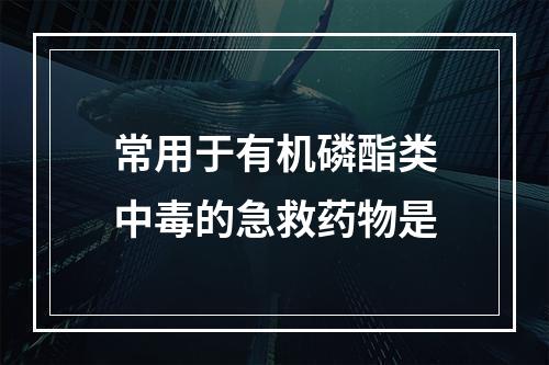 常用于有机磷酯类中毒的急救药物是