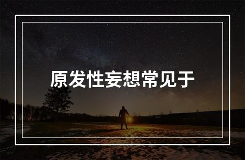 原发性妄想常见于