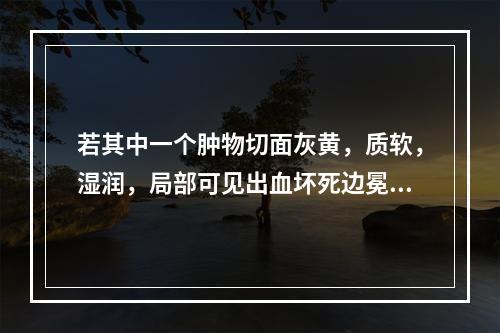 若其中一个肿物切面灰黄，质软，湿润，局部可见出血坏死边冕不清