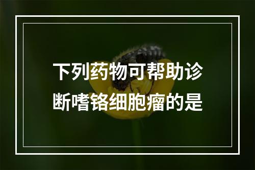 下列药物可帮助诊断嗜铬细胞瘤的是