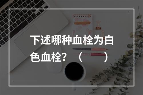 下述哪种血栓为白色血栓？（　　）