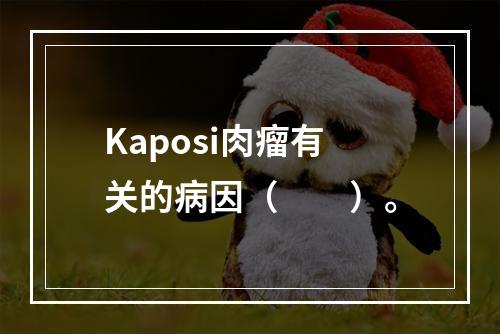 Kaposi肉瘤有关的病因（　　）。