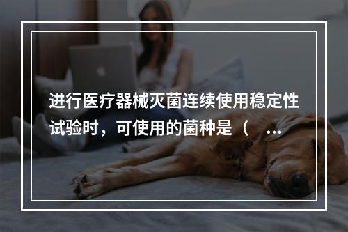 进行医疗器械灭菌连续使用稳定性试验时，可使用的菌种是（　　）