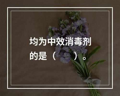 均为中效消毒剂的是（　　）。