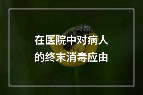 在医院中对病人的终末消毒应由