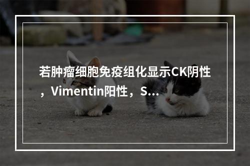 若肿瘤细胞免疫组化显示CK阴性，Vimentin阳性，SMA