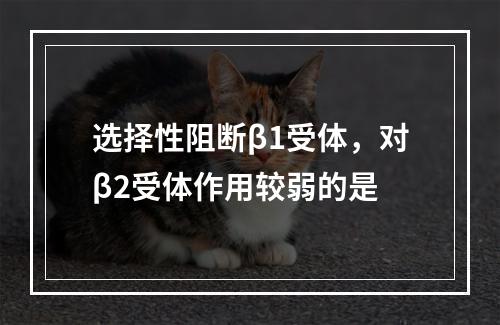 选择性阻断β1受体，对β2受体作用较弱的是