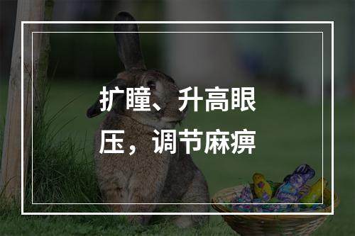 扩瞳、升高眼压，调节麻痹