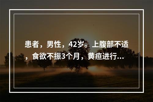 患者，男性，42岁。上腹部不适，食欲不振3个月，黄疸进行加