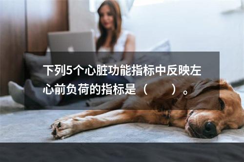 下列5个心脏功能指标中反映左心前负荷的指标是（　　）。