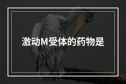 激动M受体的药物是