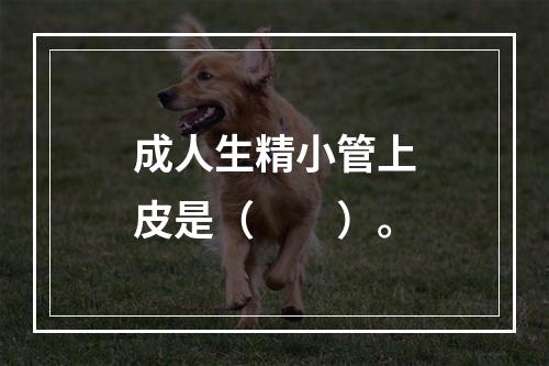 成人生精小管上皮是（　　）。