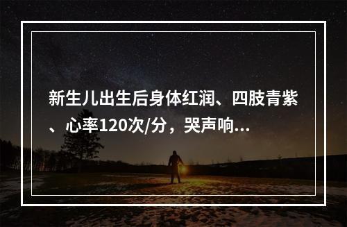 新生儿出生后身体红润、四肢青紫、心率120次/分，哭声响，