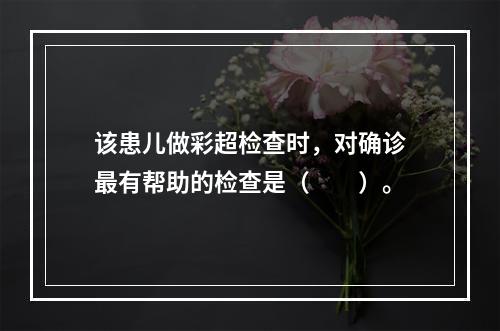 该患儿做彩超检查时，对确诊最有帮助的检查是（　　）。