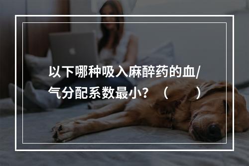 以下哪种吸入麻醉药的血/气分配系数最小？（　　）