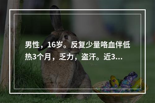 男性，16岁。反复少量咯血伴低热3个月，乏力，盗汗。近3天