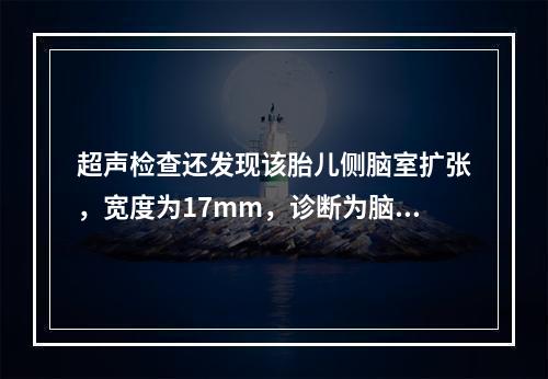 超声检查还发现该胎儿侧脑室扩张，宽度为17mm，诊断为脑积水