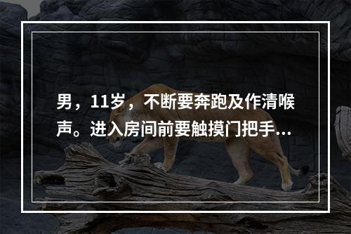 男，11岁，不断要奔跑及作清喉声。进入房间前要触摸门把手2次