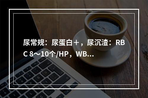 尿常规：尿蛋白＋，尿沉渣：RBC 8～10个/HP，WBC