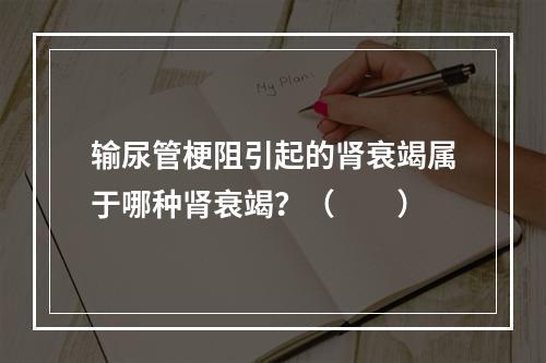 输尿管梗阻引起的肾衰竭属于哪种肾衰竭？（　　）