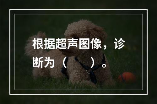 根据超声图像，诊断为（　　）。